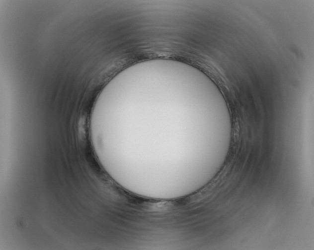 X0000113560122200909181029