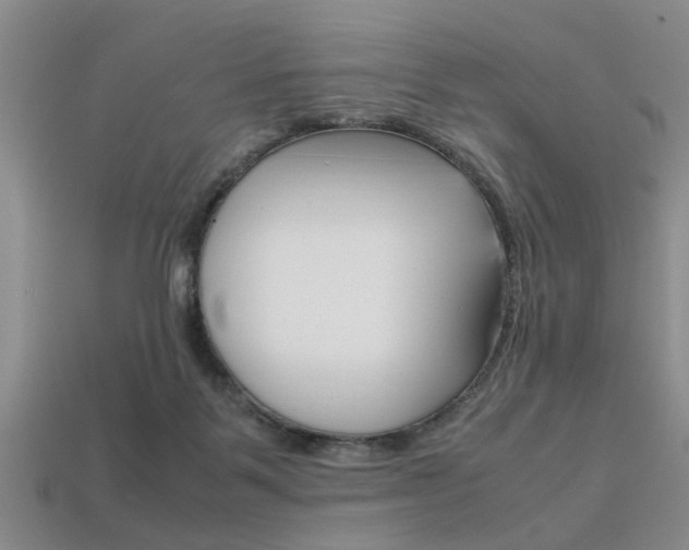 X0000113560123200909181029