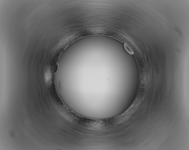 X0000113560124200909181029