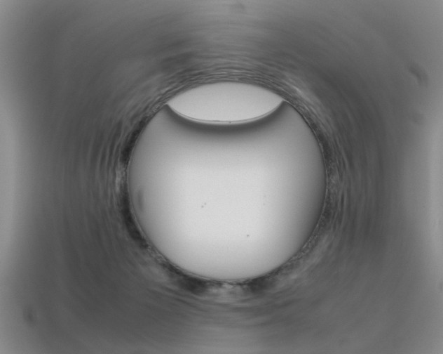 X0000113560125200909181029