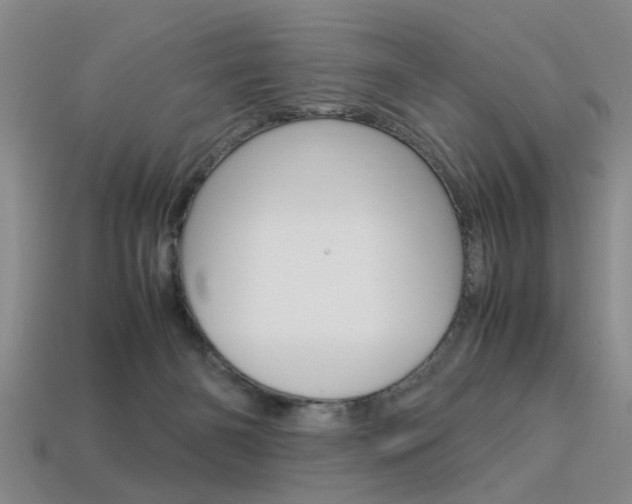X0000113560126200909181029