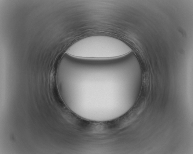 X0000113560127200909181029