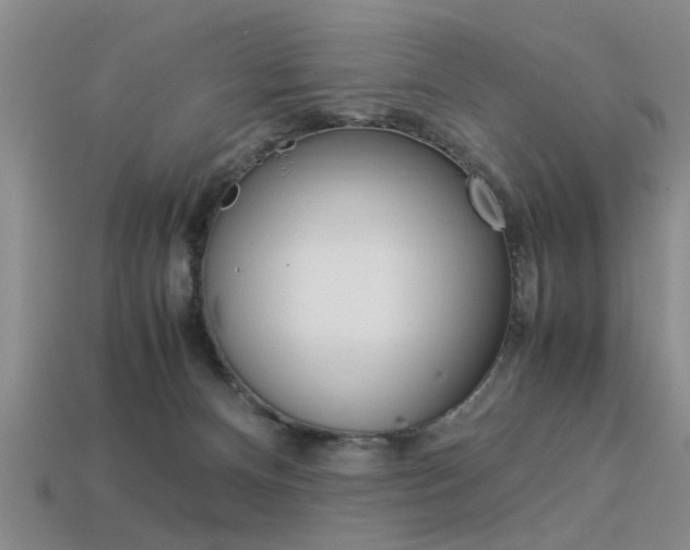 X0000113560128200909181029