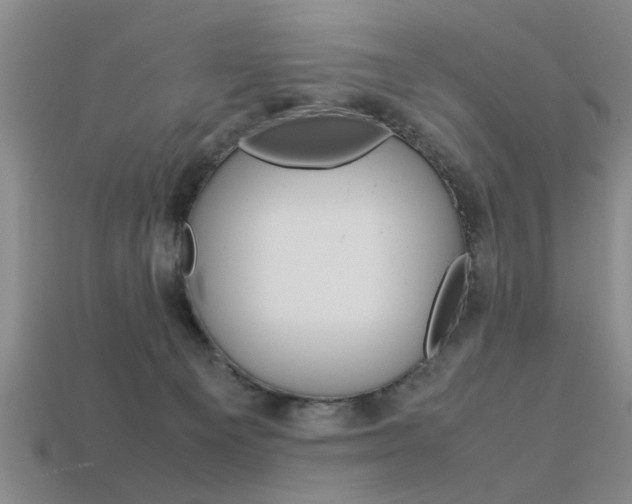 X0000113560129200909181029