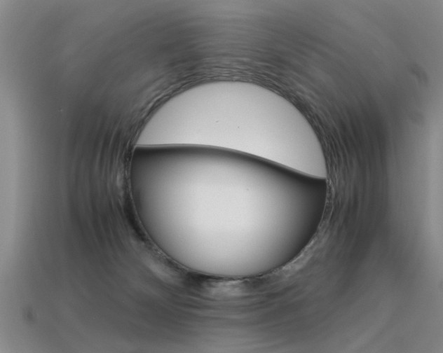 X0000113560132200909181029