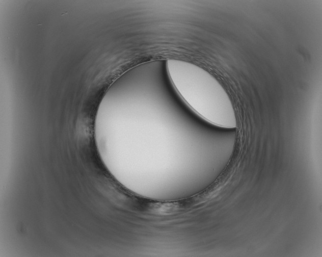 X0000113560135200909181029