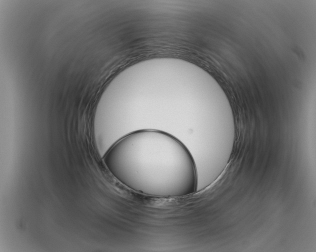 X0000113560136200909181029