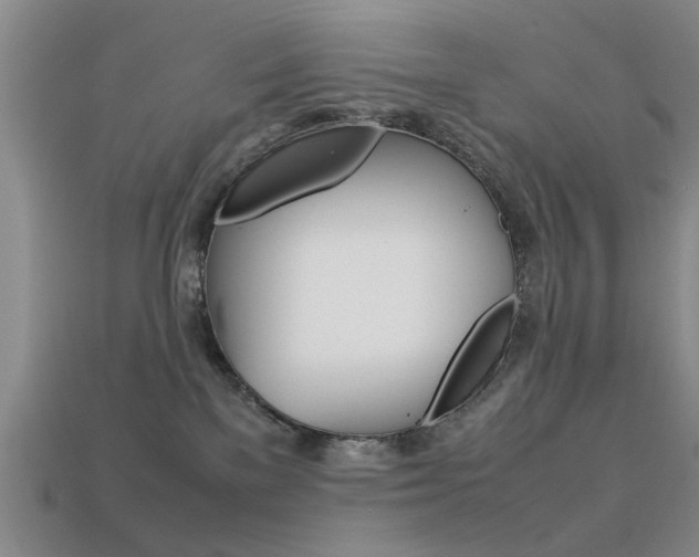 X0000113560137200909181029