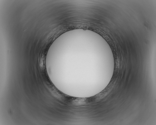 X0000113560138200909181029