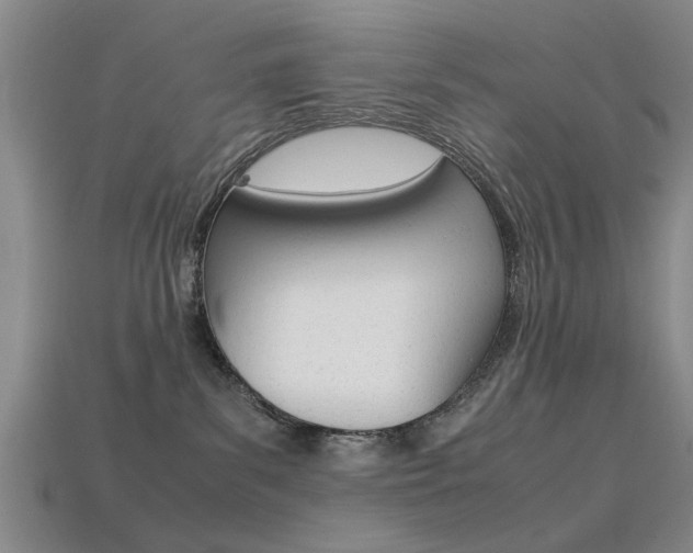 X0000113560139200909181029