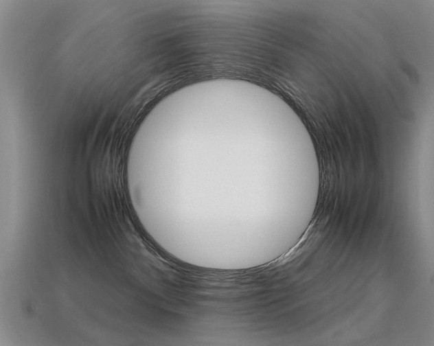 X0000113560140200909181029