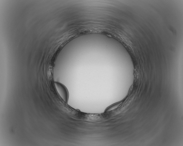 X0000113560141200909181029