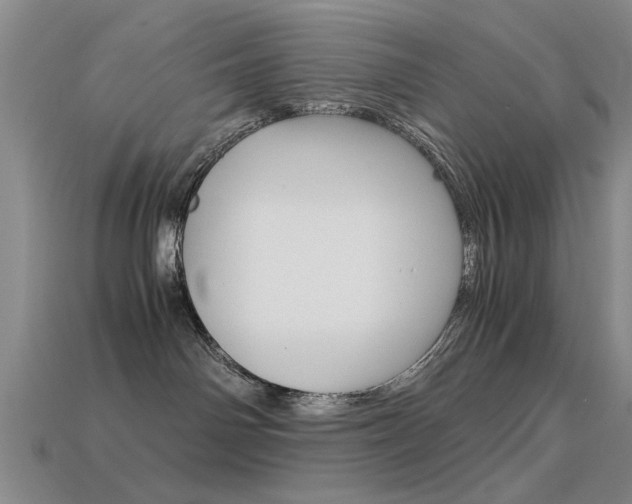 X0000113560142200909181029