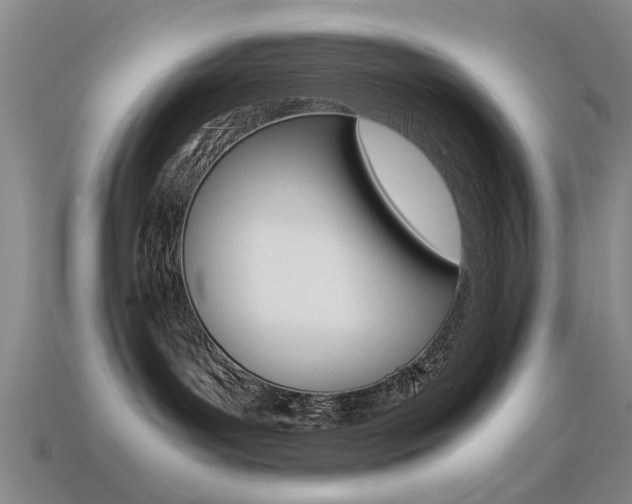 X0000113560143200909181029