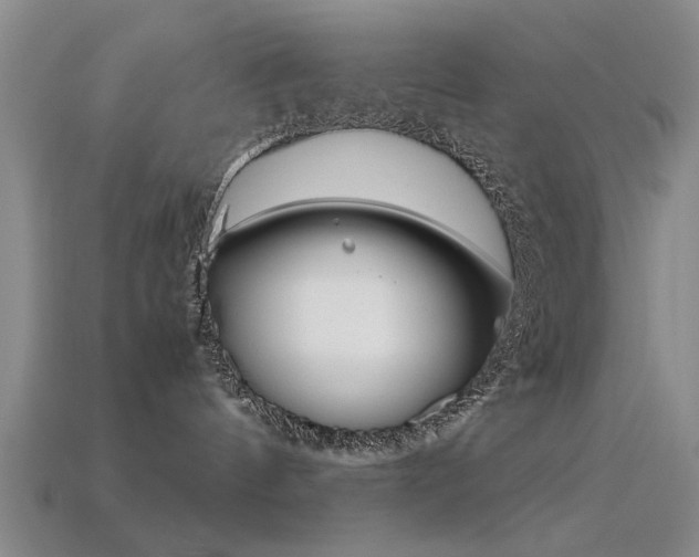 X0000113560144200909181029