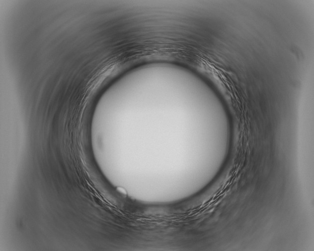 X0000113560145200909181028