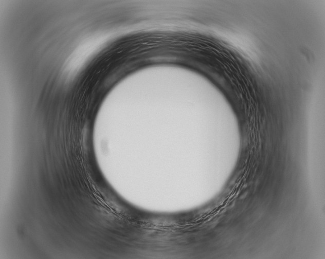 X0000113560146200909181028