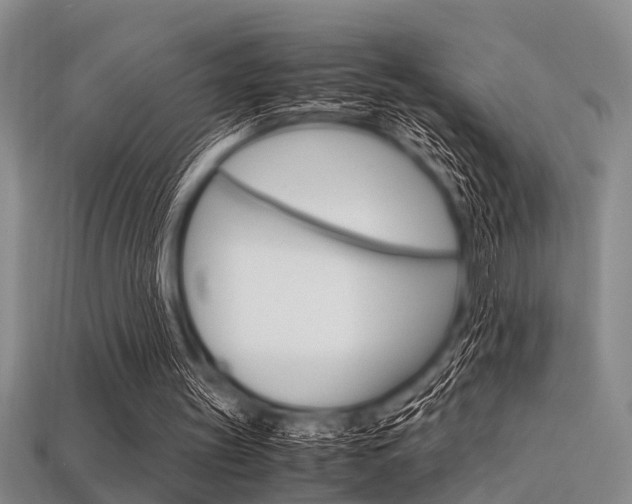 X0000113560147200909181028