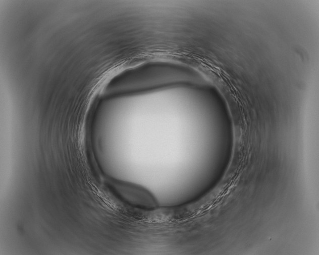 X0000113560148200909181028