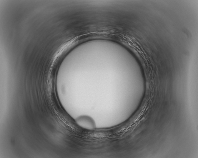 X0000113560149200909181028