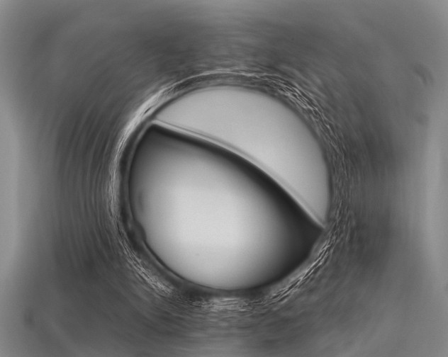 X0000113560150200909181028