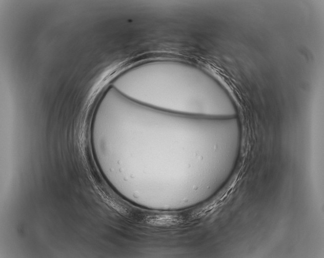 X0000113560151200909181028