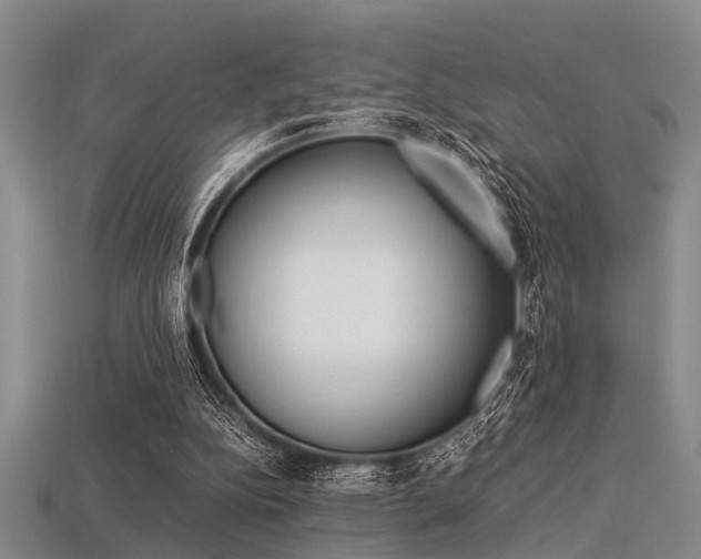 X0000113560152200909181028