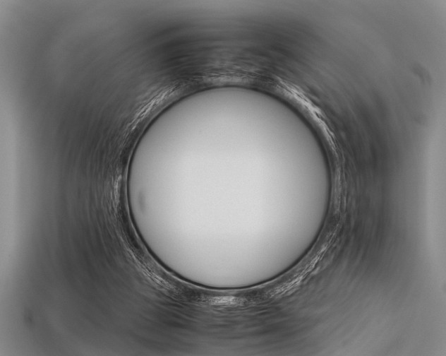 X0000113560153200909181028