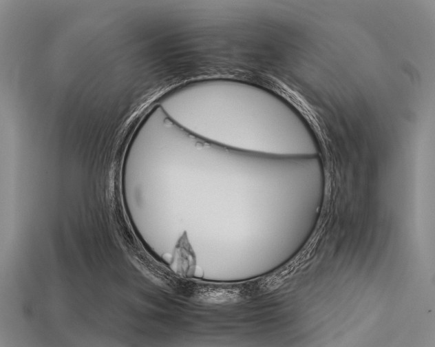 X0000113560155200909181028