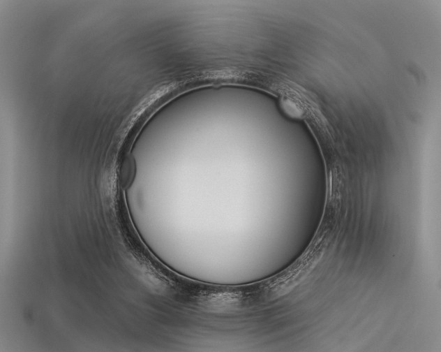 X0000113560156200909181028