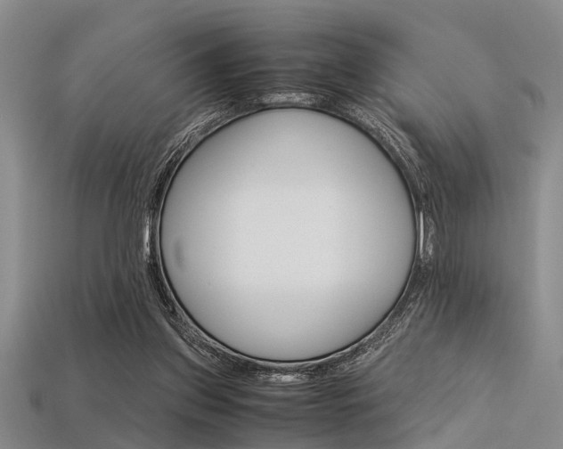 X0000113560157200909181028