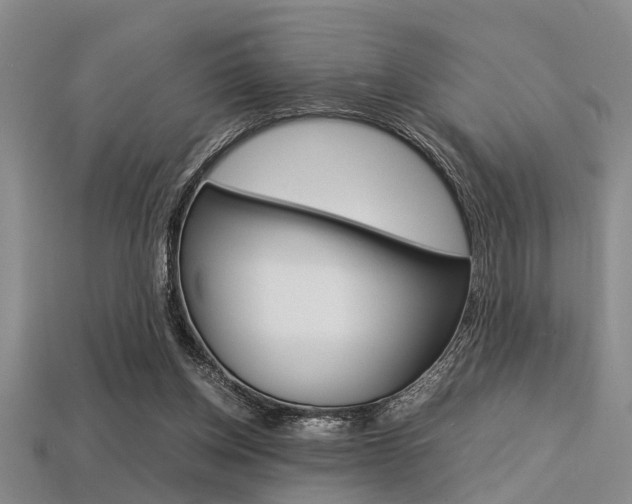 X0000113560158200909181028