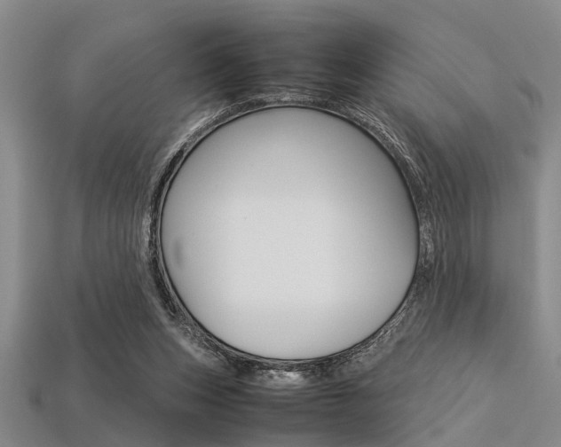 X0000113560159200909181028