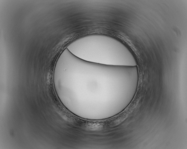 X0000113560161200909181028