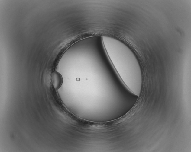 X0000113560164200909181028