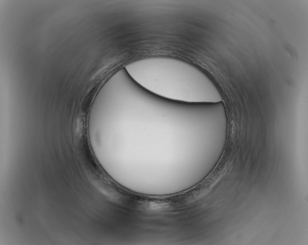 X0000113560165200909181028
