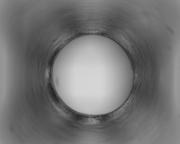 X0000113560166200909181028