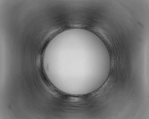 X0000113560167200909181028