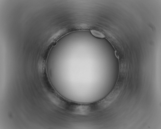 X0000113560168200909181028