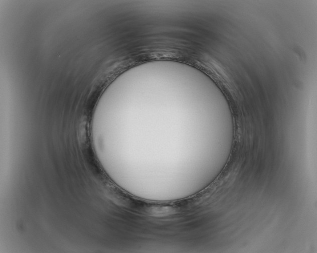 X0000113560169200909181028