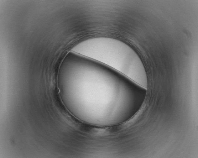 X0000113560170200909181028