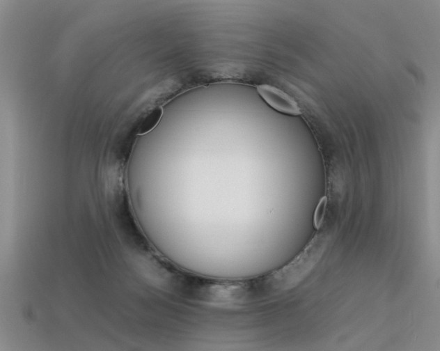 X0000113560172200909181028