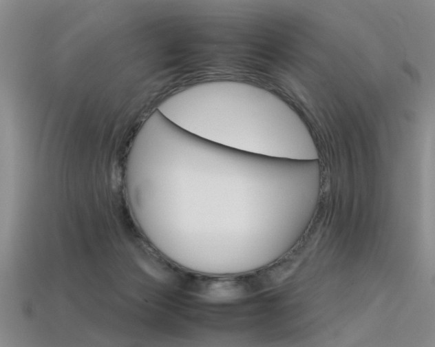 X0000113560173200909181028