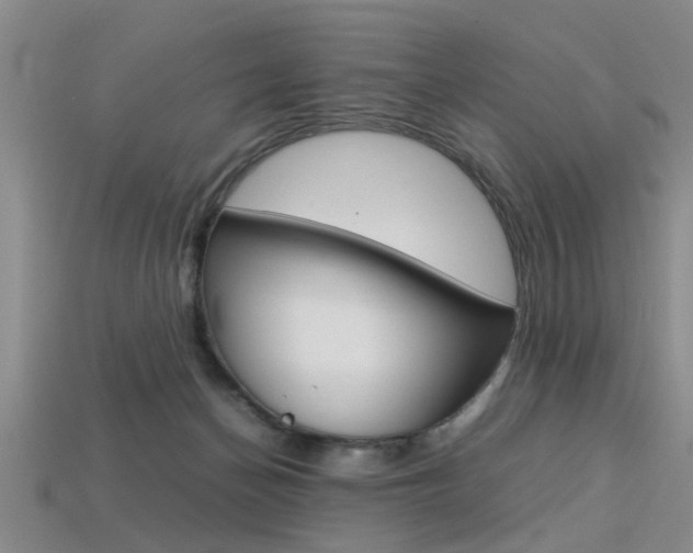 X0000113560174200909181028