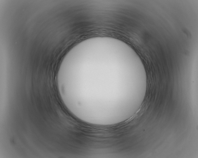 X0000113560176200909181028