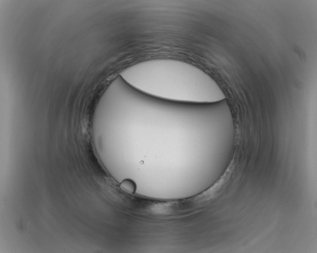 X0000113560178200909181028