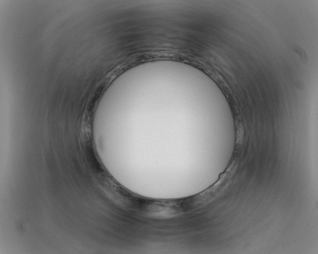 X0000113560179200909181028