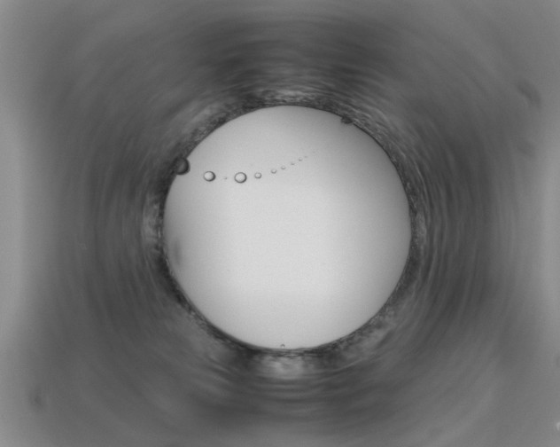 X0000113560181200909181028