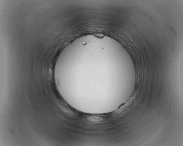 X0000113560183200909181029
