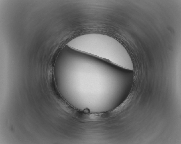 X0000113560184200909181029
